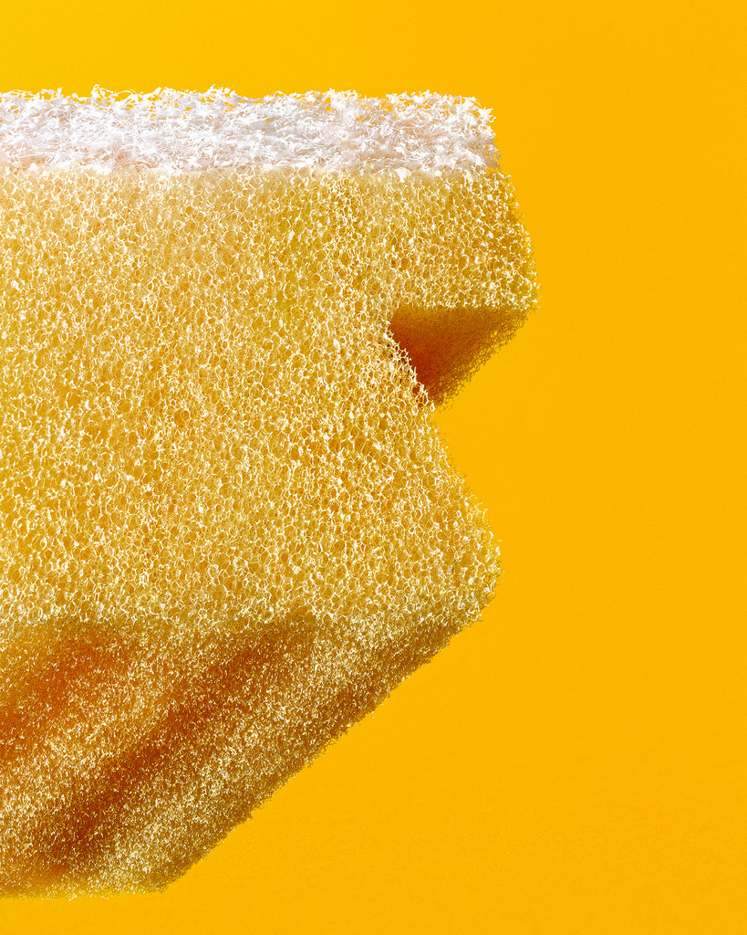 Boris Lebedev, A Sponge