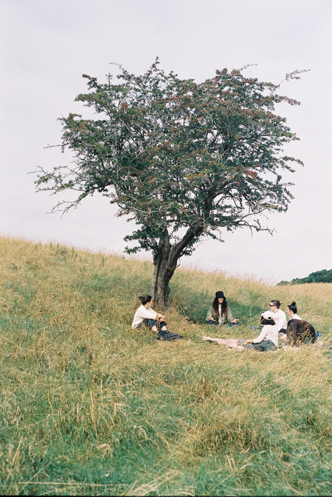 Donal Talbot, A Certain Sensibility