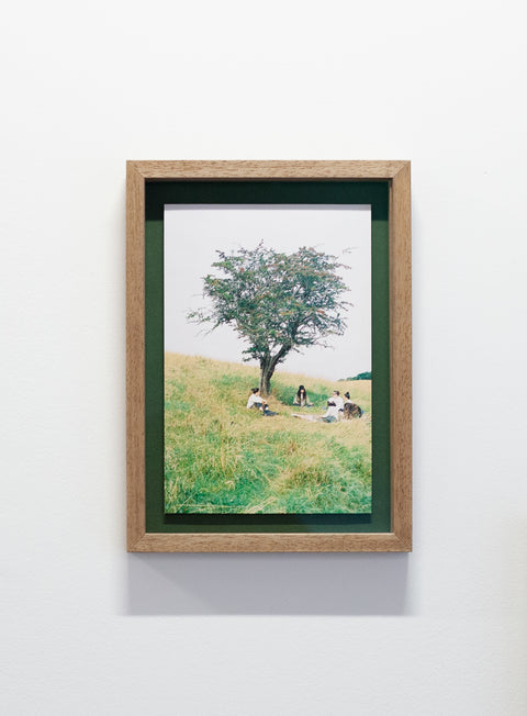 Donal Talbot, A Certain Sensibility