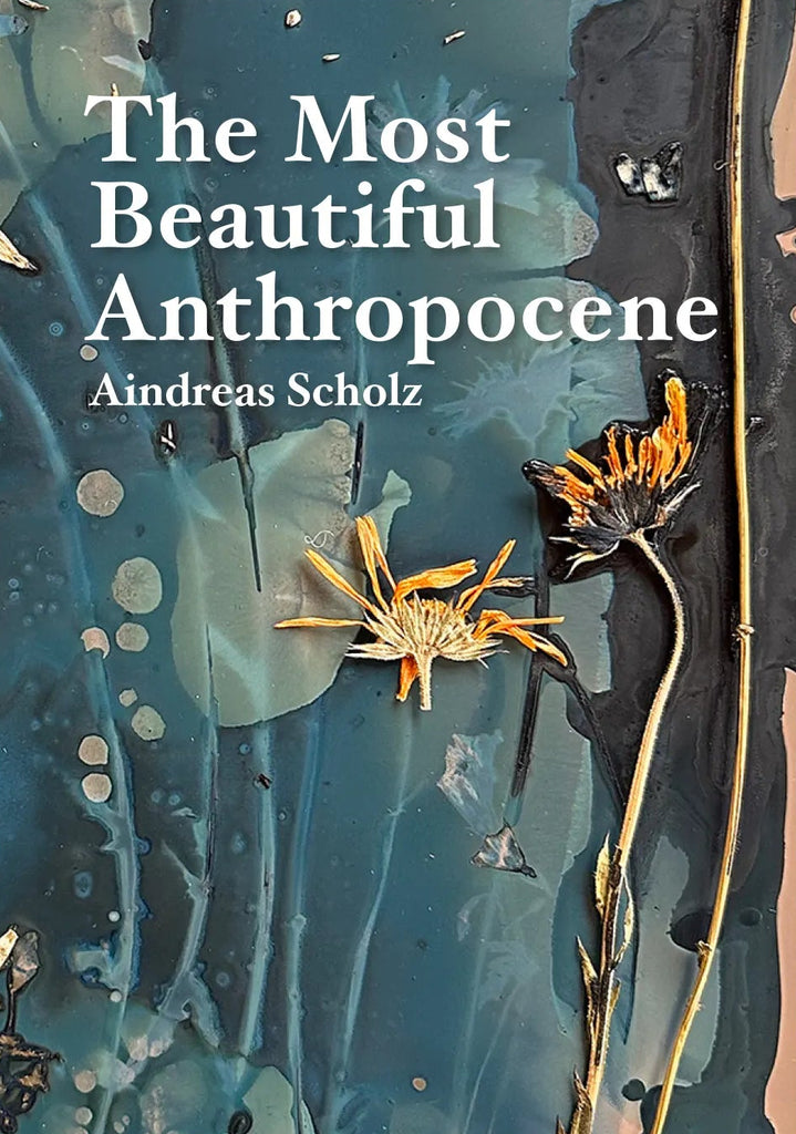 The Most Beautiful Anthropocene, Aindreas Scholz