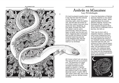 Airmid’s Journal: An t-Earrach 2024