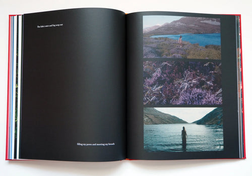 All at Once Collapsing Together, Caoimhín Gaffney