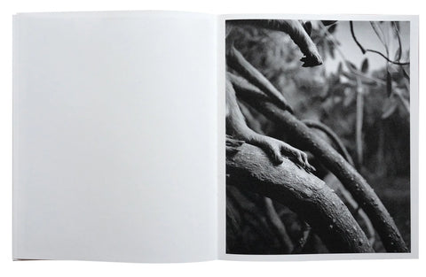 All Things Laid Dormant, Benedetta Casagrande
