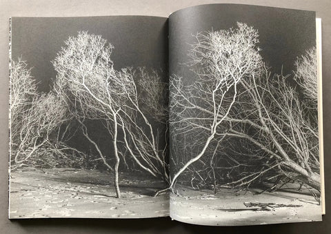 Alone Together (One Last Trip Around the Garden), Devin Oktar Yalkın