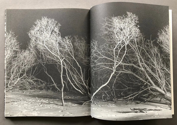 Alone Together (One Last Trip Around the Garden), Devin Oktar Yalkın