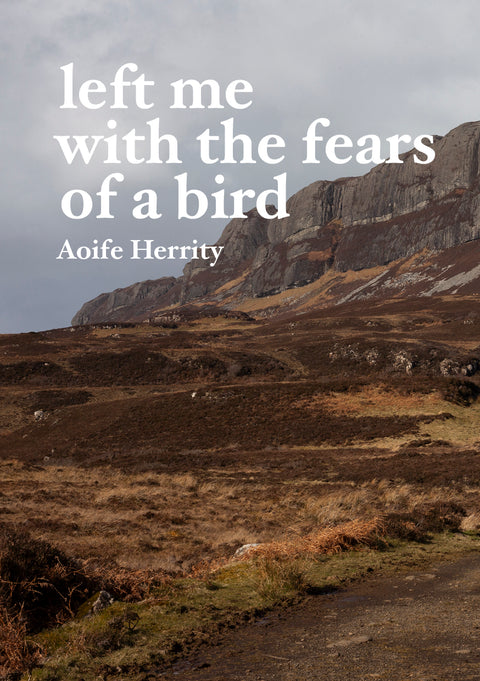 left me with the fears of a bird, Aoife Herrity