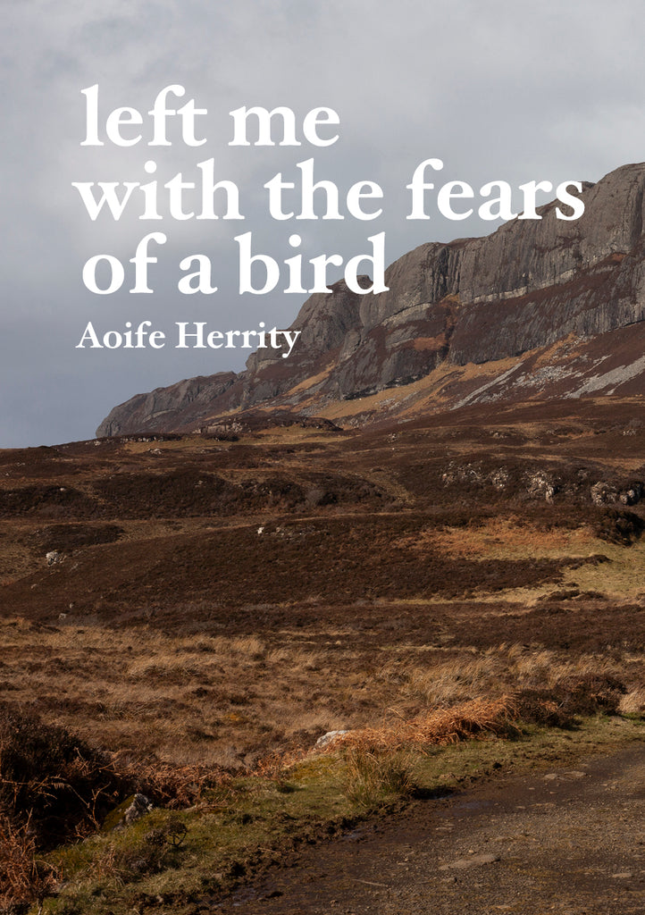 left me with the fears of a bird, Aoife Herrity