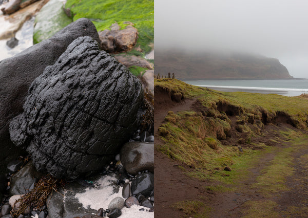 left me with the fears of a bird, Aoife Herrity