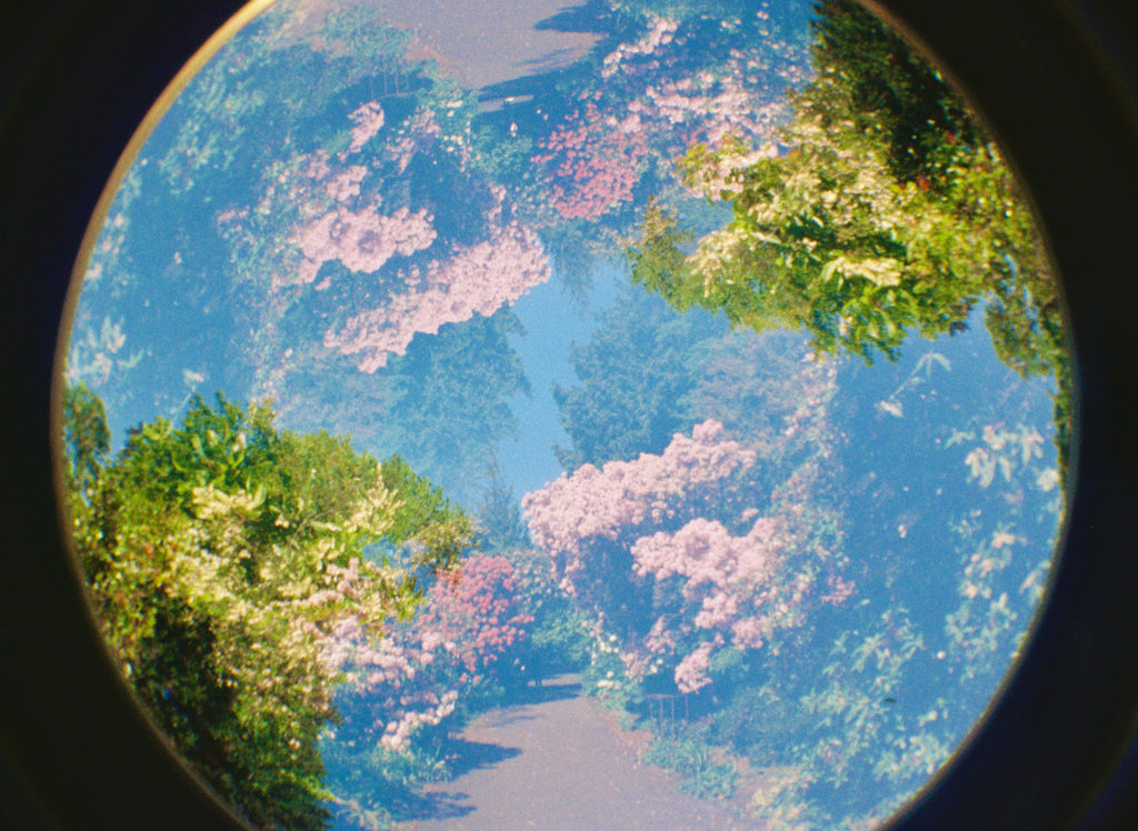 Mervé Yilmaz, Sky Within