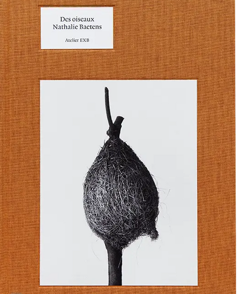 Des oiseaux, Nathalie Baetens