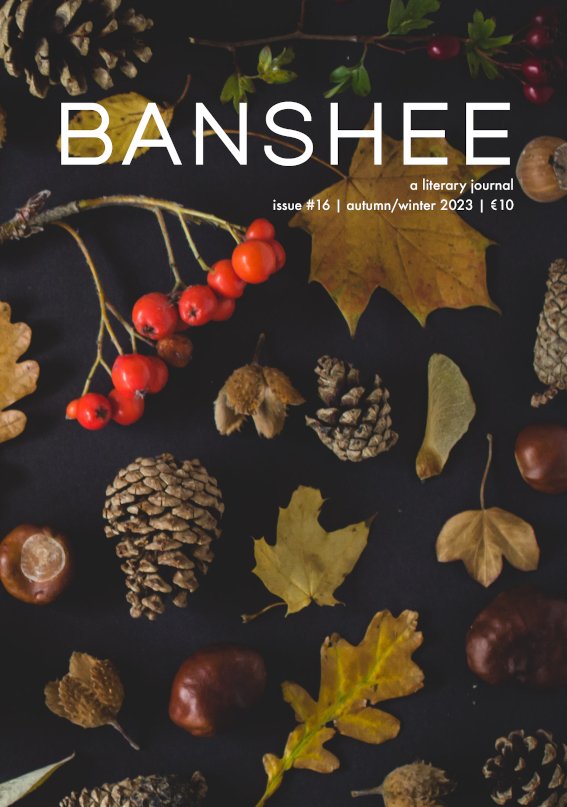 Banshee-Ausgabe 16