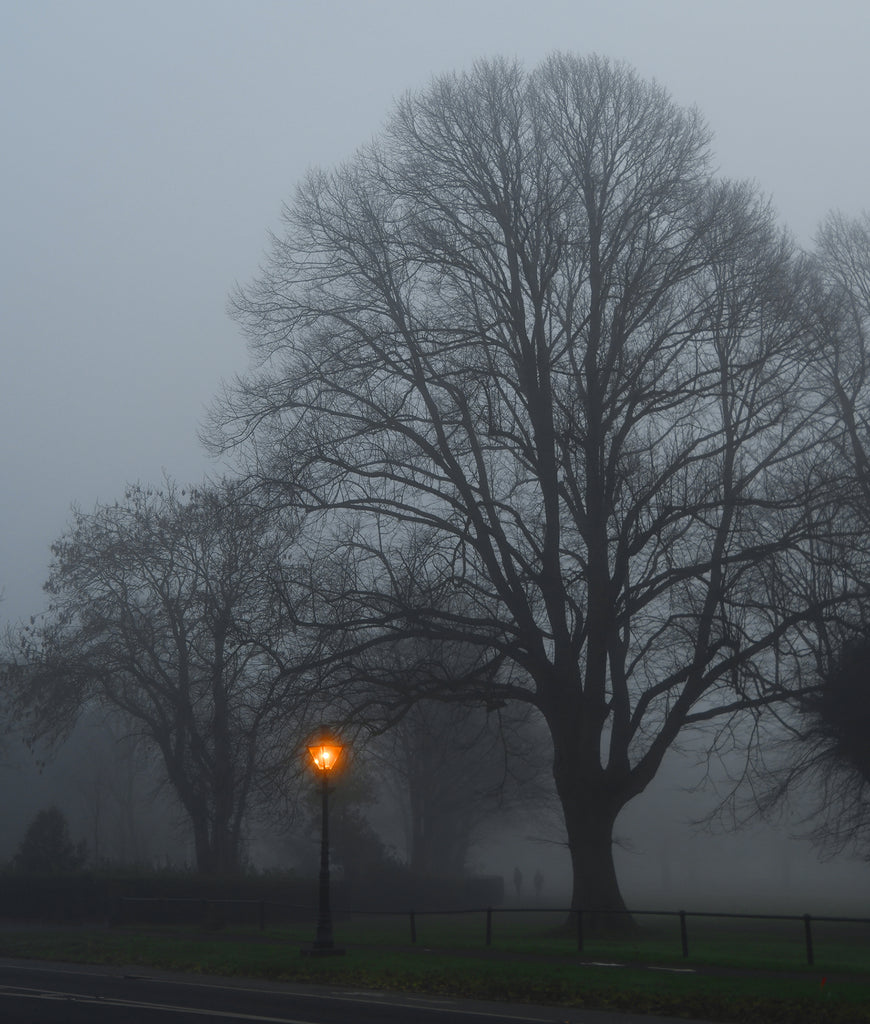 Harry Phipps, Beacon