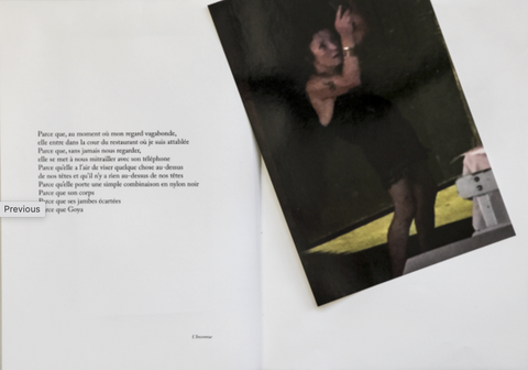 Because..., Sophie Calle