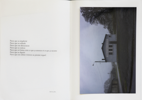 Because..., Sophie Calle
