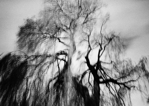 Distances, Billy Kenrick