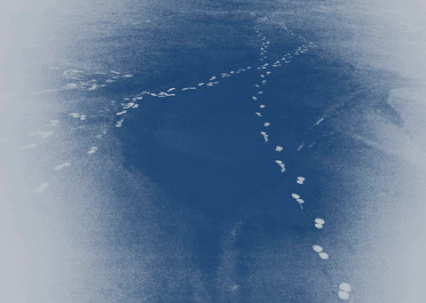 Distances, Billy Kenrick