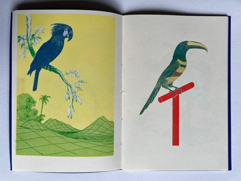Birds of Paradise, Justin Larkin