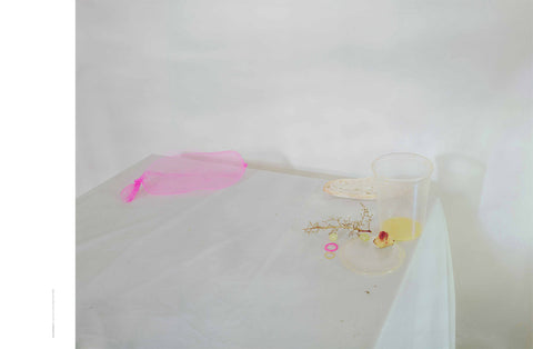 Blow Photo Issue 5: Still Life