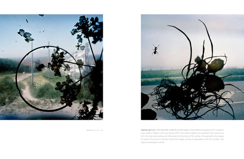Blow Photo Issue 5: Still Life