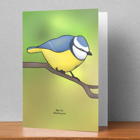 Blue Tit Greeting Card, Joe Hollingsworth & OystercatcherTF