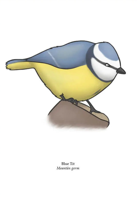 Targeta de felicitats de mésencle blava, Joe Hollingsworth i OystercatcherTF
