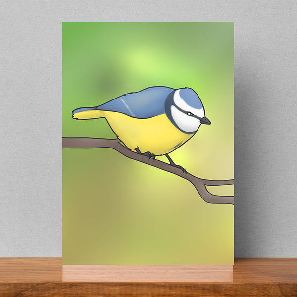 Joe Hollingsworth, Blue Tit (Meantán gorm)