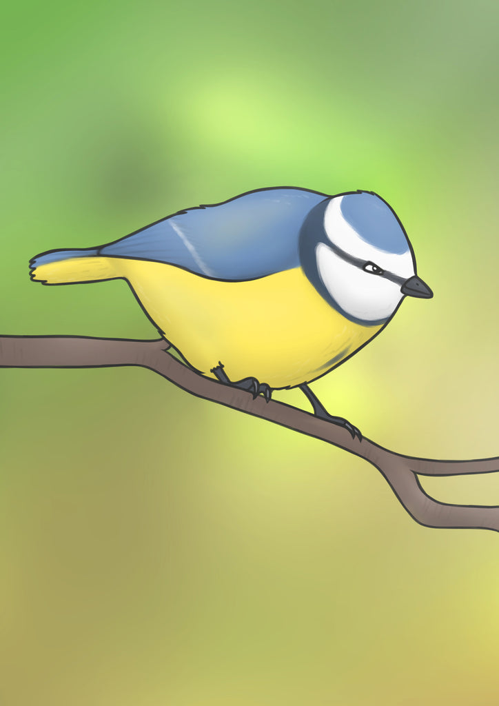 Joe Hollingsworth, Blue Tit (Meantán gorm)