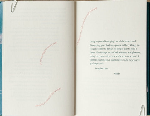 A Body With More Tongues is a Mythical Creature, Laura Cemin