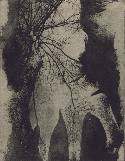 Rachel Merrigan, Bone to Bone