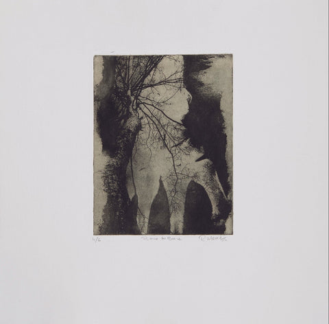 Rachel Merrigan, Bone to Bone