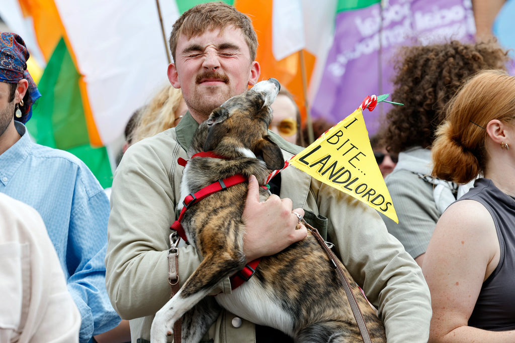 'I Bite Landlords' Notecard, Paula Geraghty
