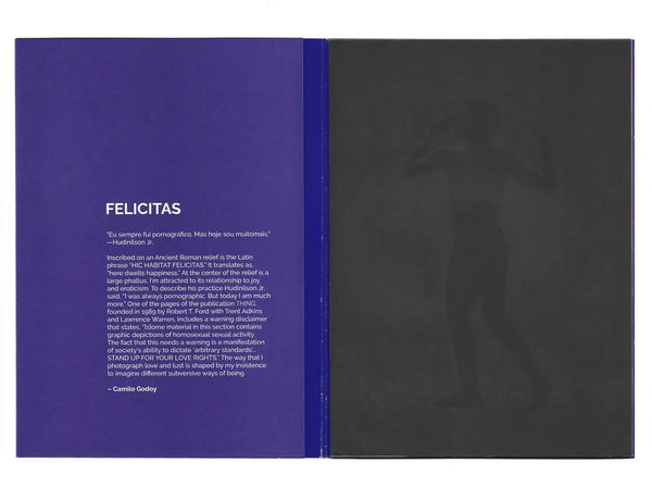 Camilo Godoy: “FELICITAS”