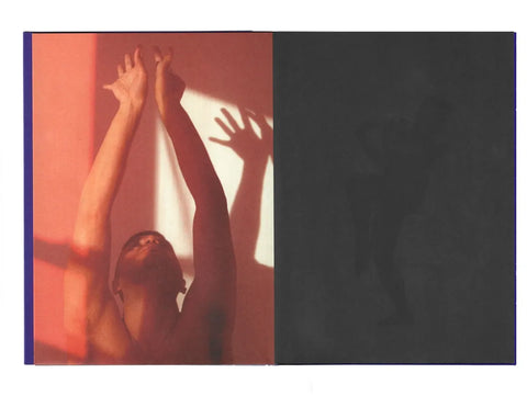 Camilo Godoy: “FELICITAS”