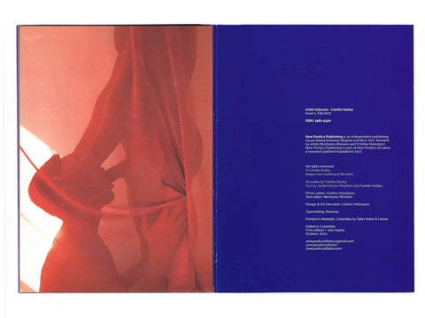Camilo Godoy: “FELICITAS”