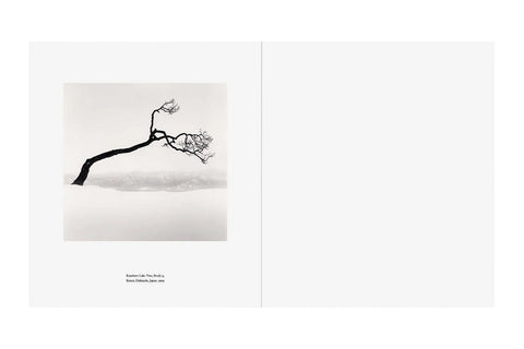 Photographs and Stories, Michael Kenna