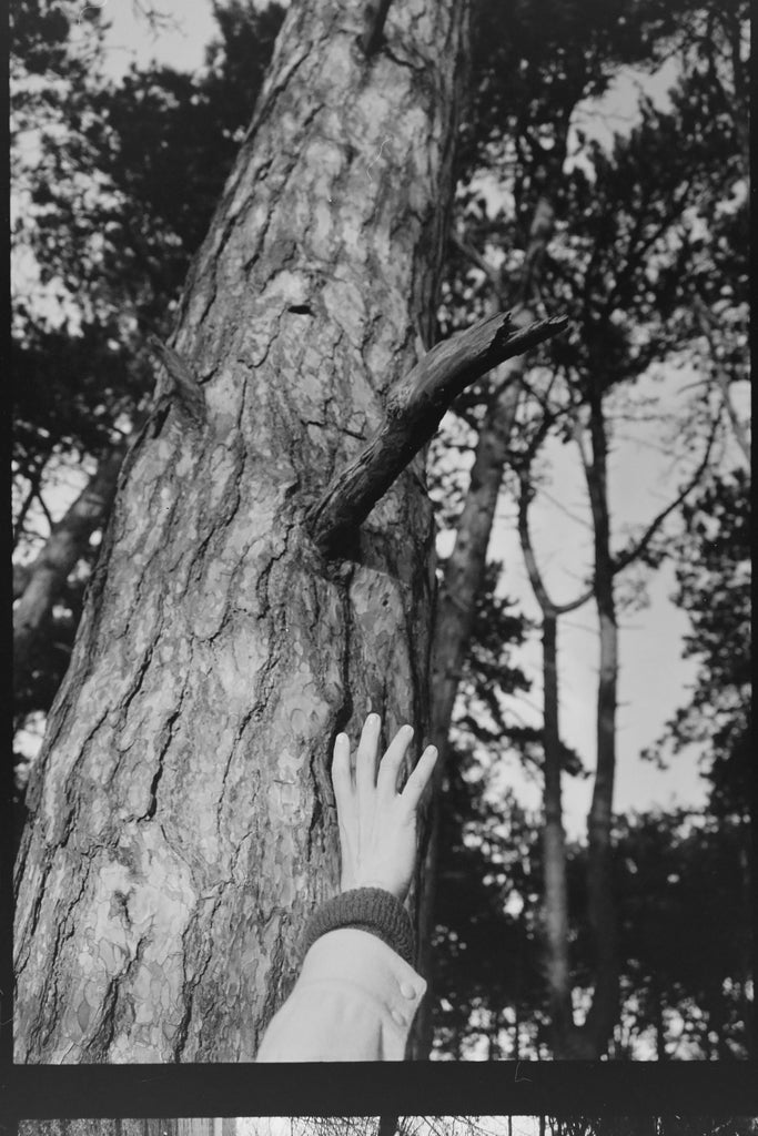 Rebecca Cairns, End of winter