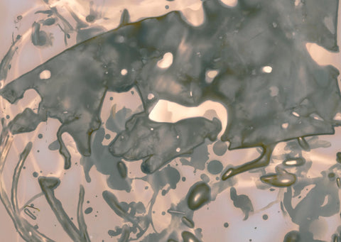 Dereenacappera, Caitriona Dunnett