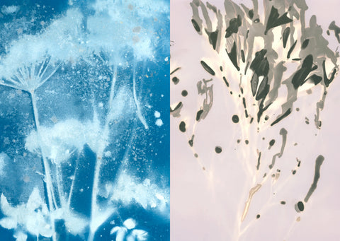 Dereenacappera, Caitriona Dunnett