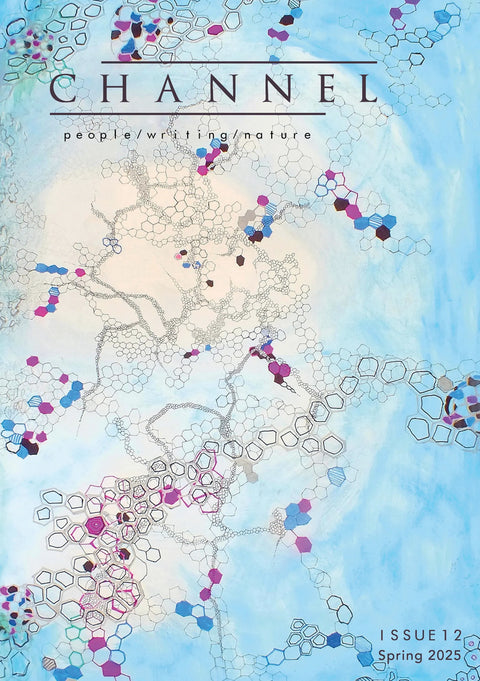 Channel, Issue 12