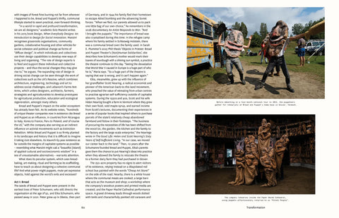Disegno, Issue 42
