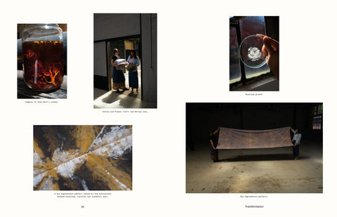 Disegno, Issue 42
