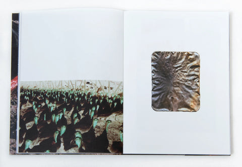 DOMESTIC, Katrina Stamatopoulos