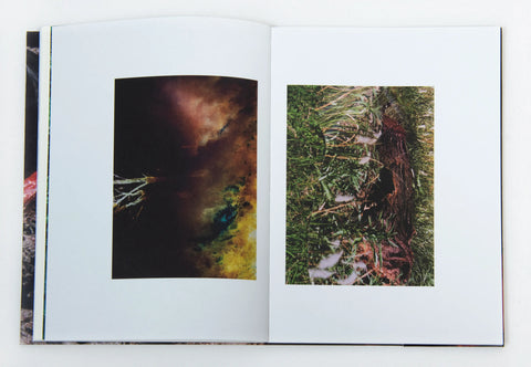 DOMESTIC, Katrina Stamatopoulos