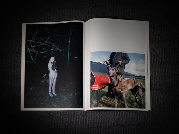 Brionglóid, Island Photographers