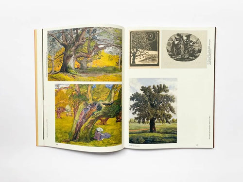 Floating Signifiers: Case studies on image, origin and representation, Daan Paans