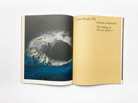 Floating Signifiers: Case studies on image, origin and representation, Daan Paans
