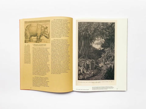 Floating Signifiers: Case studies on image, origin and representation, Daan Paans