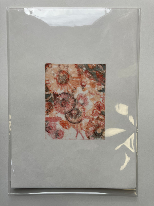 Liza Kelly, Daisies I (June)