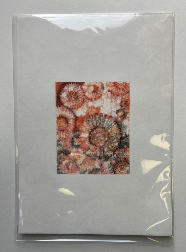 Liza Kelly, Daisies IV (June)