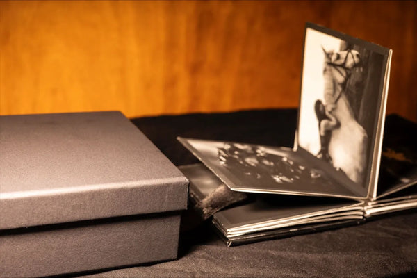 The Darkroom, Susannah Appleby